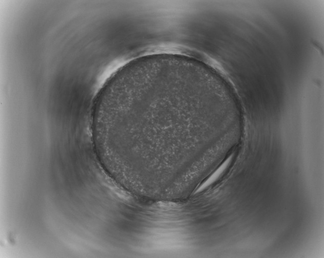 X0000102311312200808152032