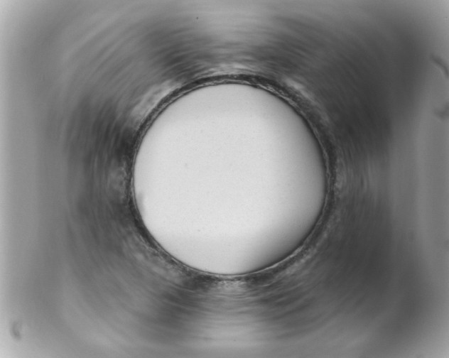 X0000102311313200808152032