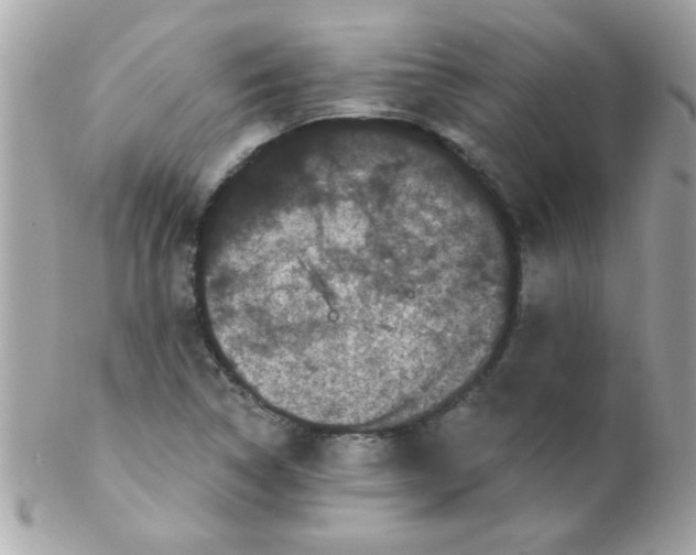X0000102311314200808152032