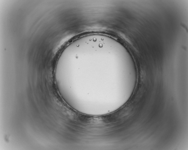 X0000102311315200808152032