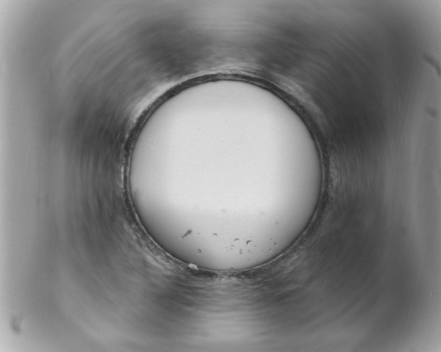 X0000102311316200808152032