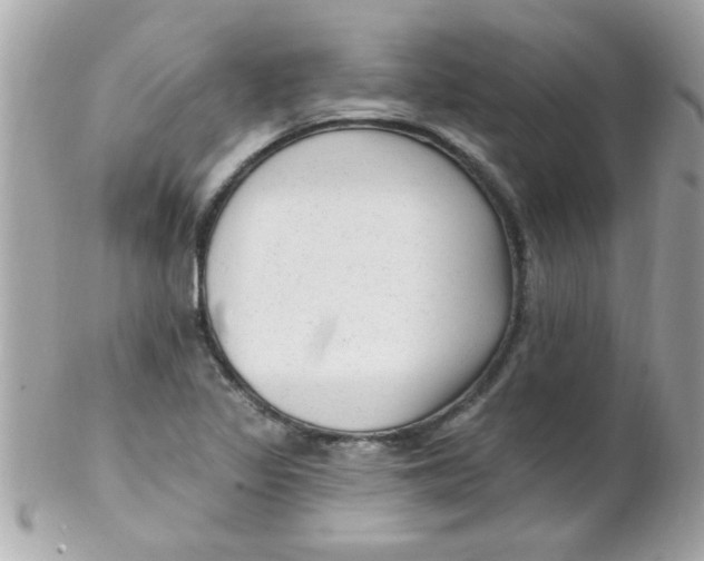 X0000102311317200808152032