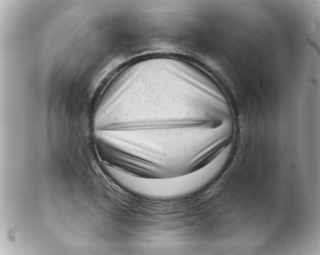 X0000102311318200808152032