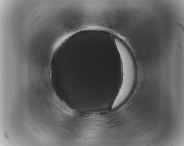 X0000102311319200808152032