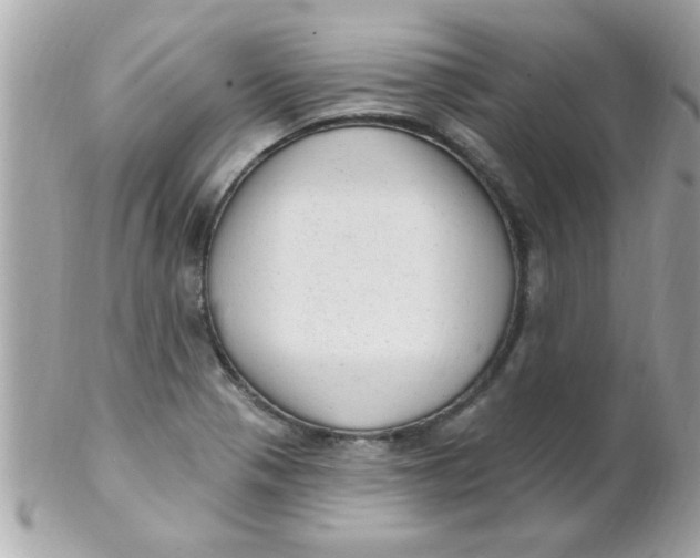 X0000102311321200808152032
