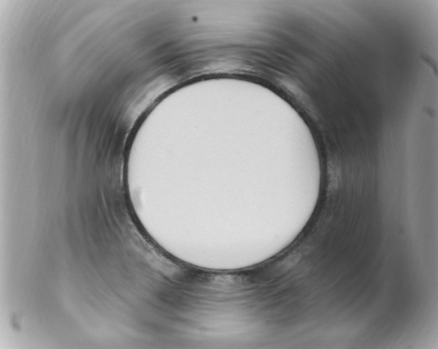 X0000102311322200808152032