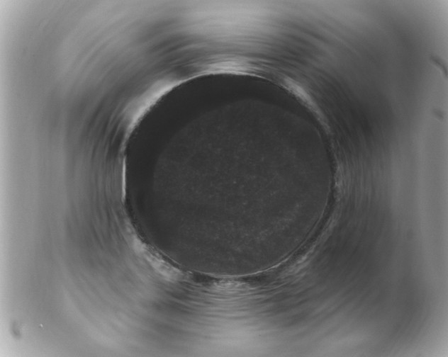 X0000102311323200808152032