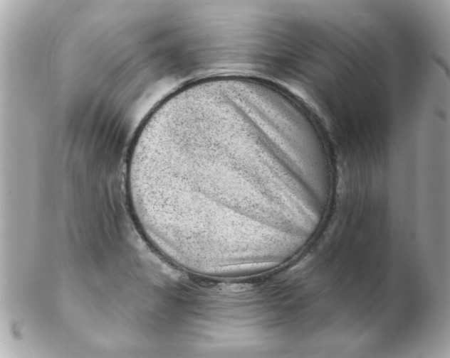 X0000102311325200808152032
