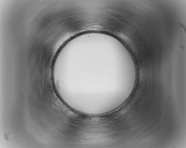 X0000102311326200808152032