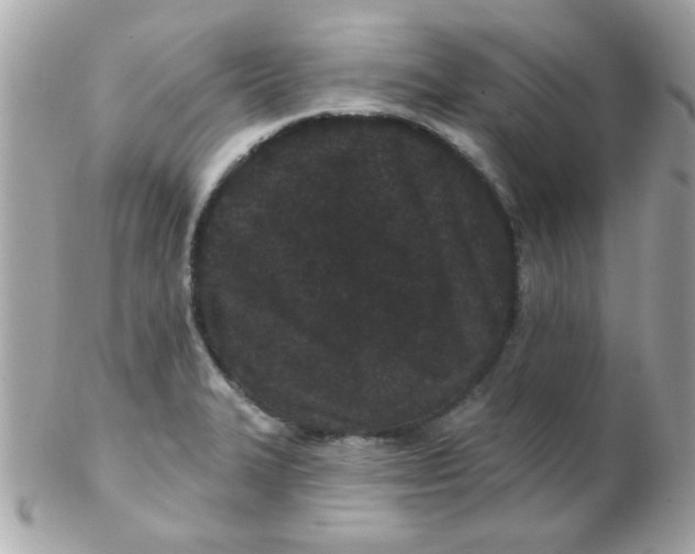 X0000102311327200808152032