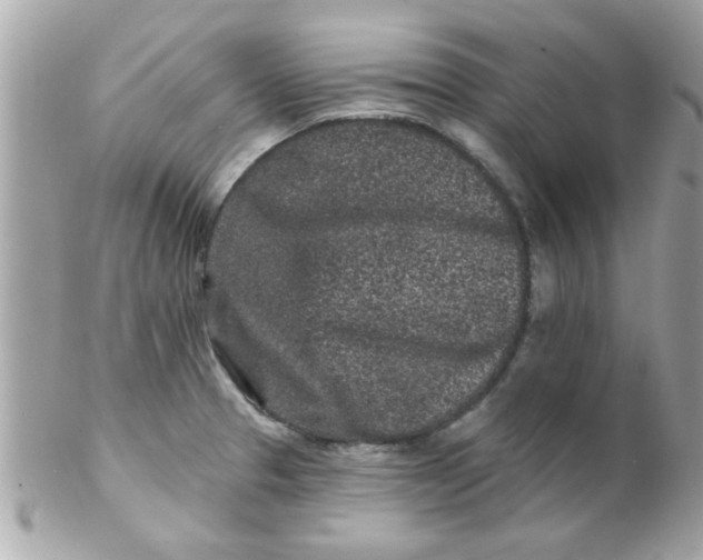 X0000102311329200808152032