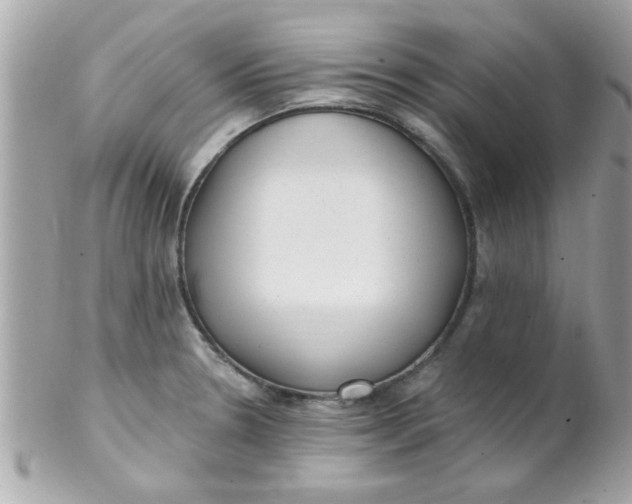 X0000102311330200808152032
