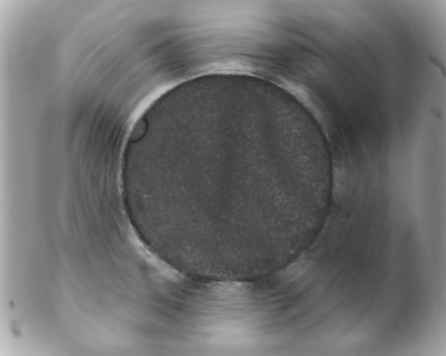 X0000102311331200808152032