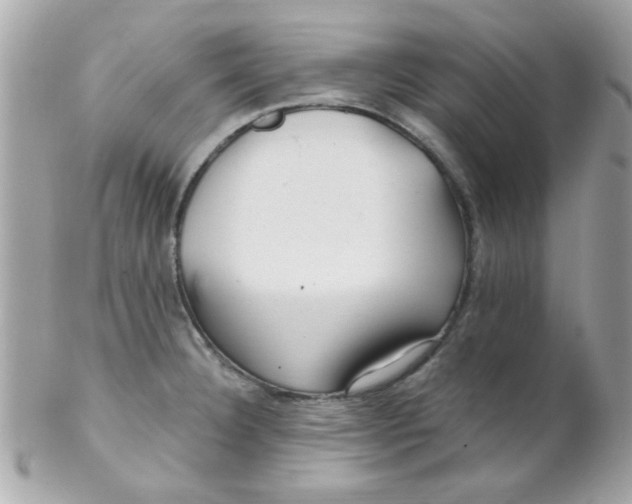 X0000102311332200808152032