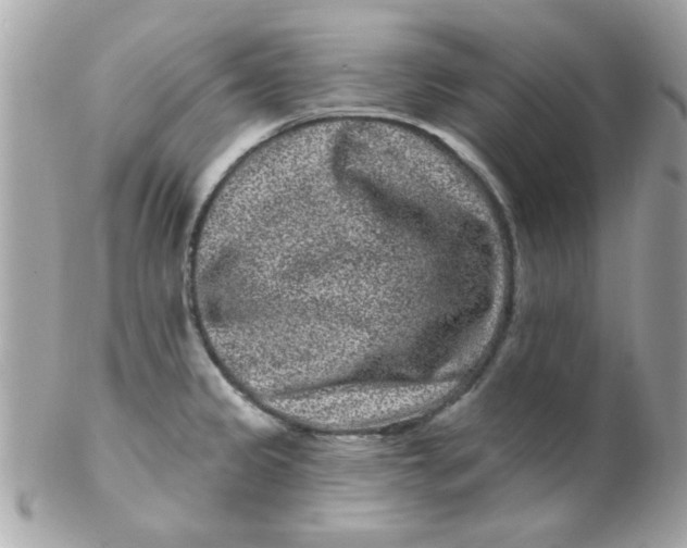 X0000102311333200808152032