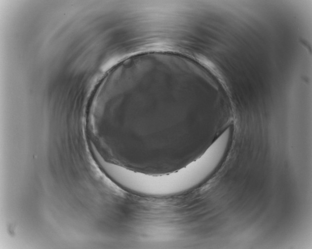 X0000102311334200808152032