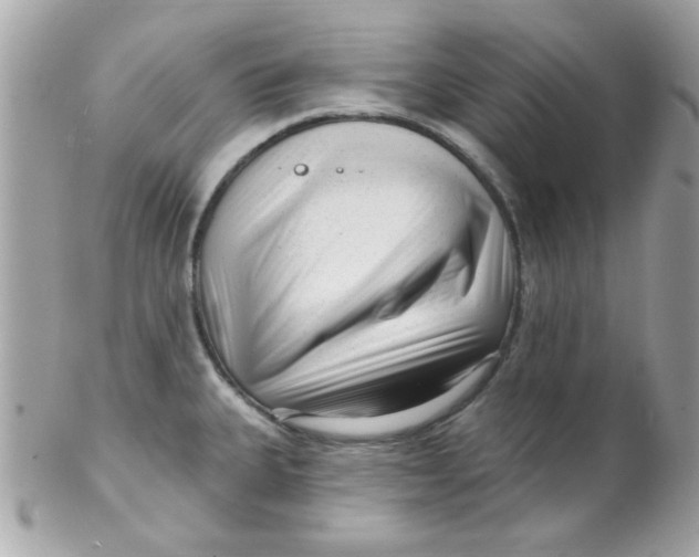 X0000102311335200808152032