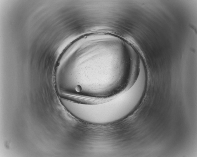 X0000102311336200808152032