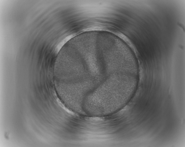 X0000102311337200808152032