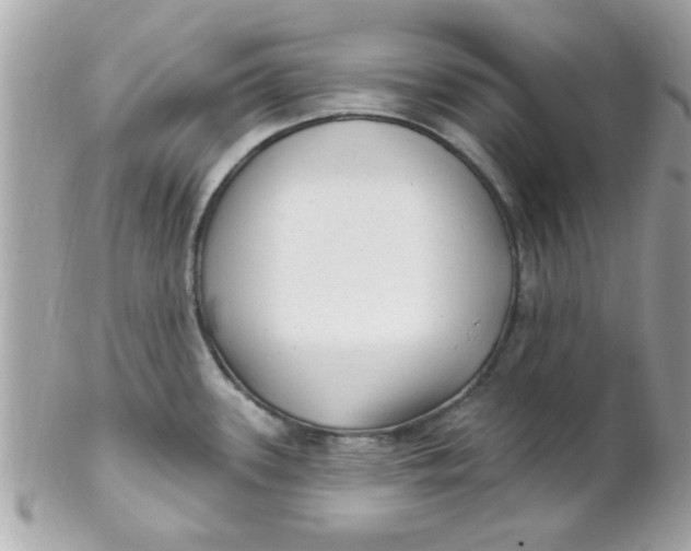 X0000102311339200808152032