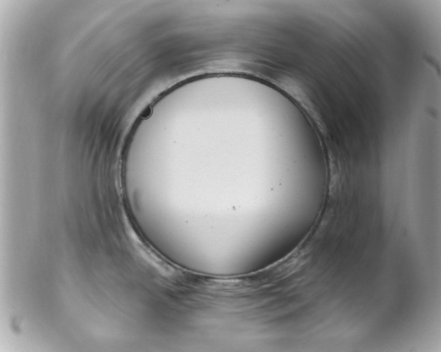 X0000102311342200808152032