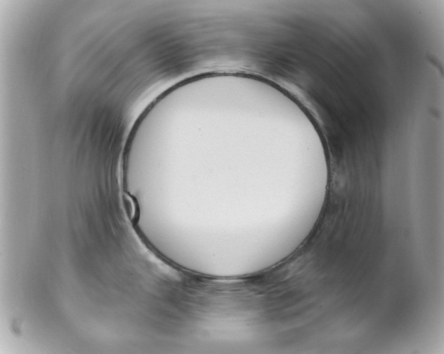 X0000102311343200808152032