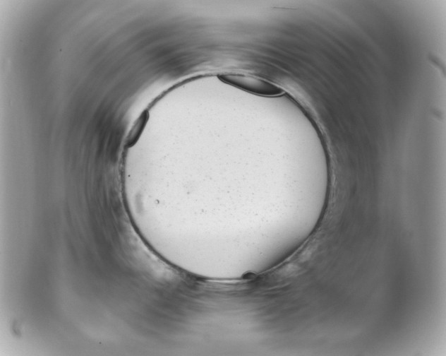 X0000102311344200808152032