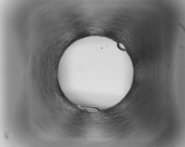 X0000102311345200808152031