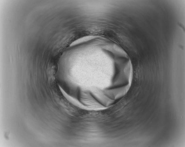 X0000102311346200808152031