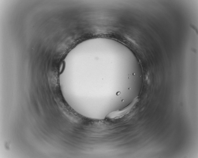 X0000102311348200808152031