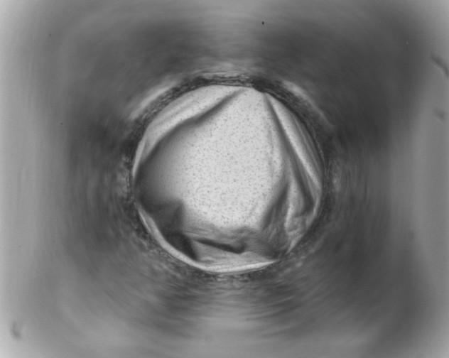 X0000102311350200808152031