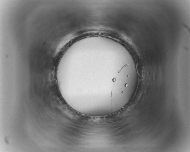 X0000102311352200808152031