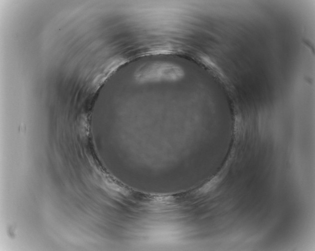 X0000102311353200808152031