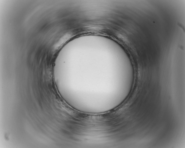 X0000102311354200808152031