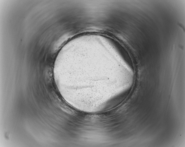X0000102311355200808152031