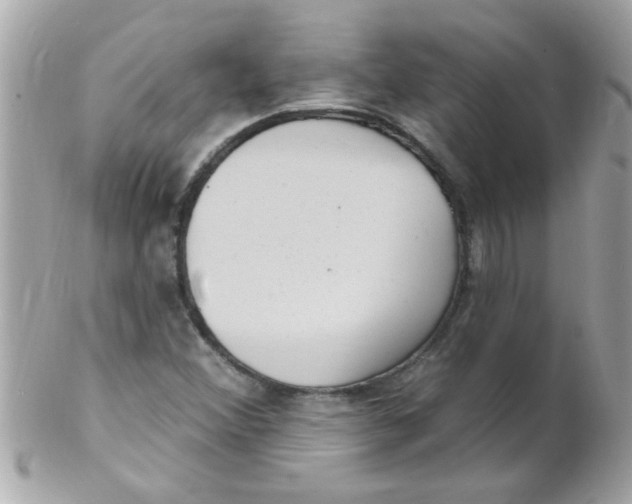 X0000102311356200808152031