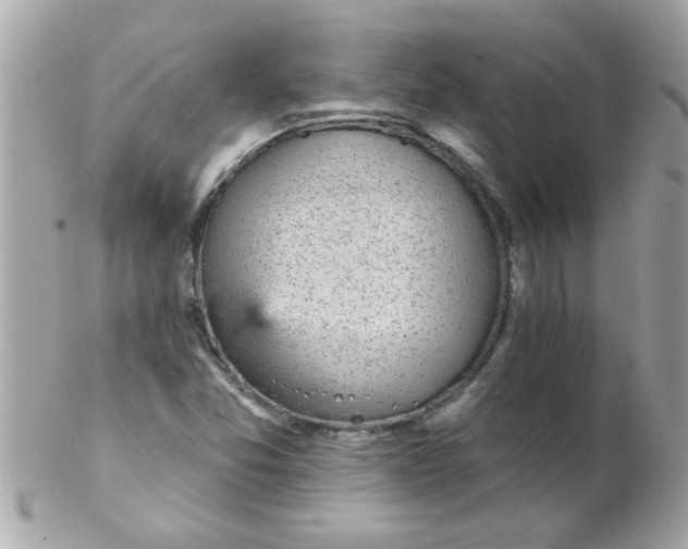 X0000102311357200808152031