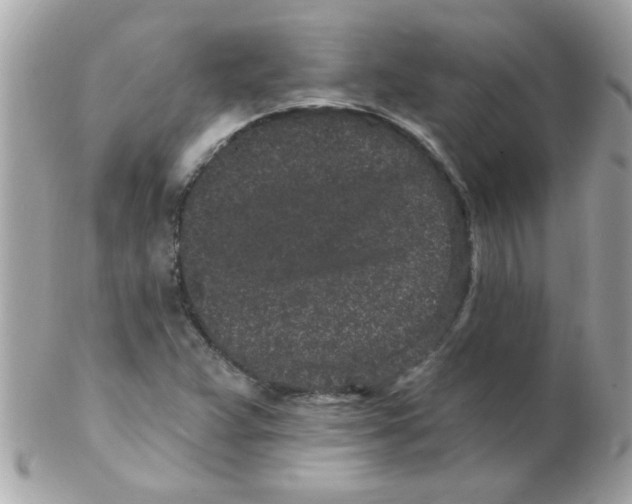 X0000102311359200808152031