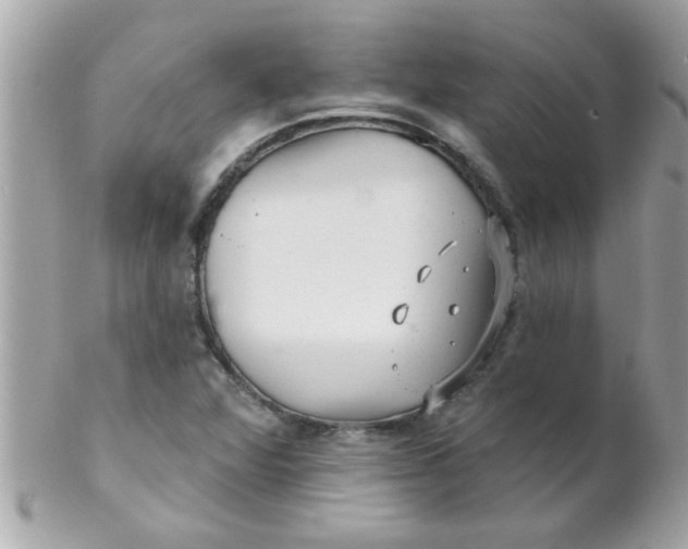 X0000102311360200808152031