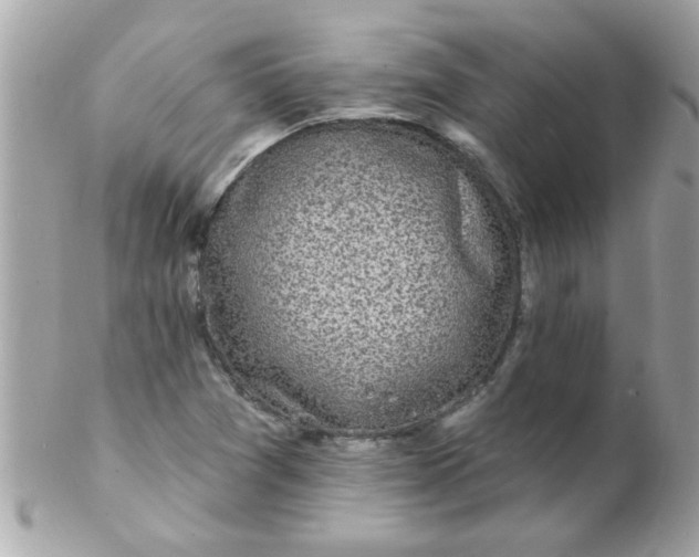 X0000102311361200808152031