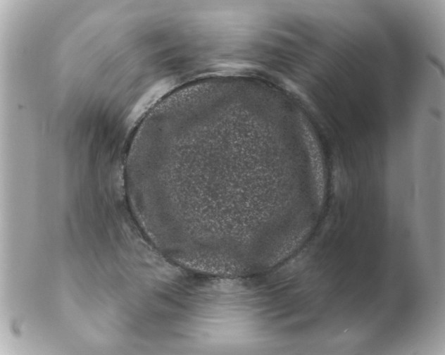 X0000102311362200808152031