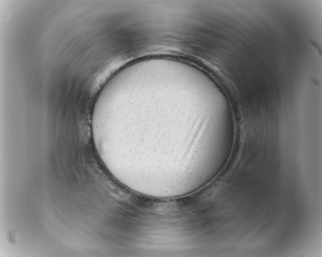 X0000102311363200808152031