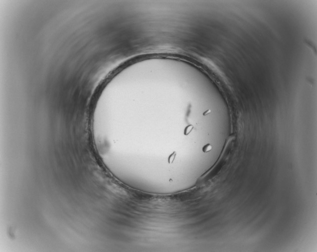 X0000102311364200808152031