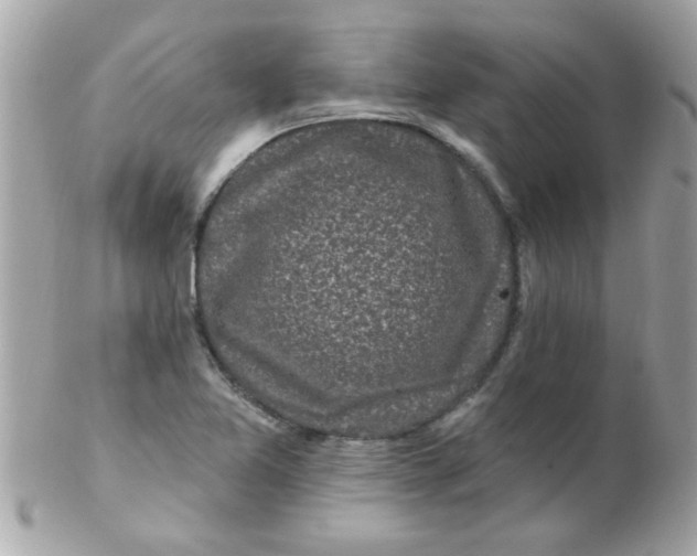 X0000102311365200808152031