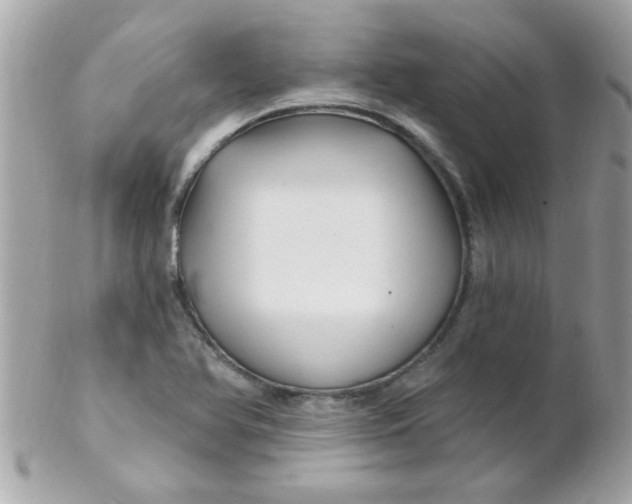 X0000102311366200808152031
