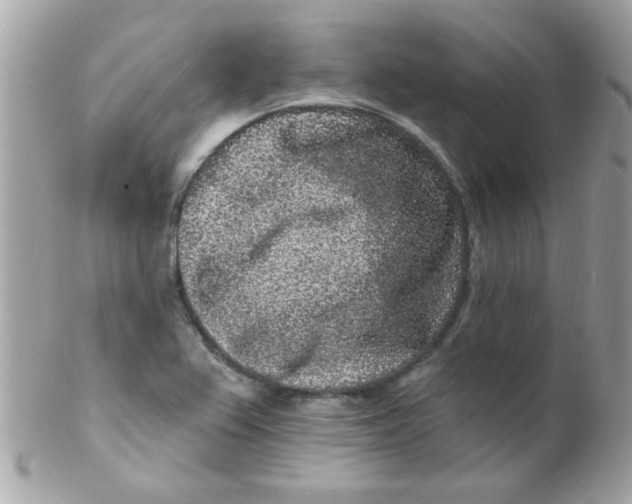 X0000102311367200808152031