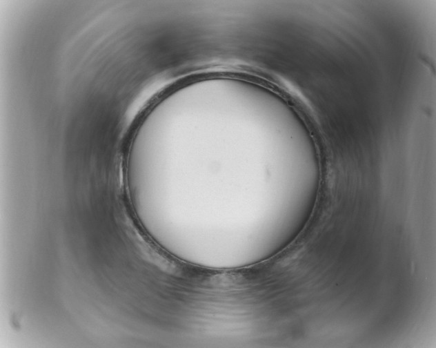X0000102311368200808152031