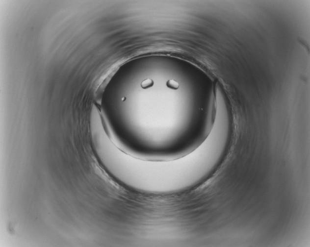 X0000102311369200808152031