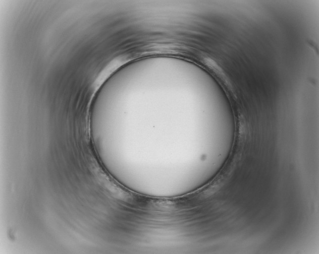 X0000102311370200808152031