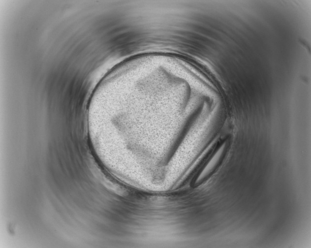 X0000102311371200808152031